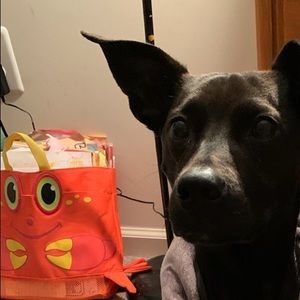 Meet your Posher, Kaylee